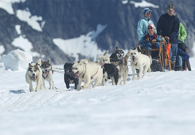 dog sledding in Juneau
