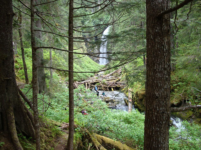 Indian River Trail hike near Sitka