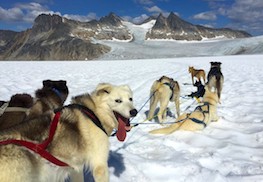 Photo of helicopter on glacier