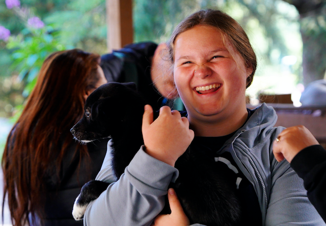Photo of Skagway Puppy