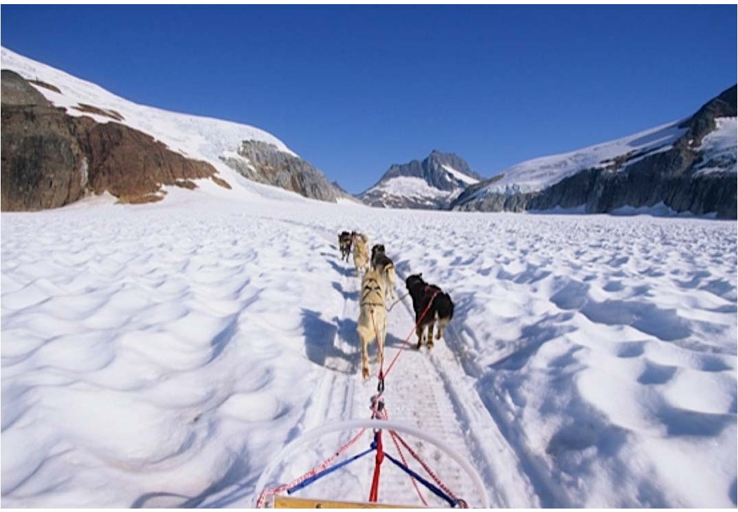 Photo of dogsled glacier flightseeing helicopter tour 4