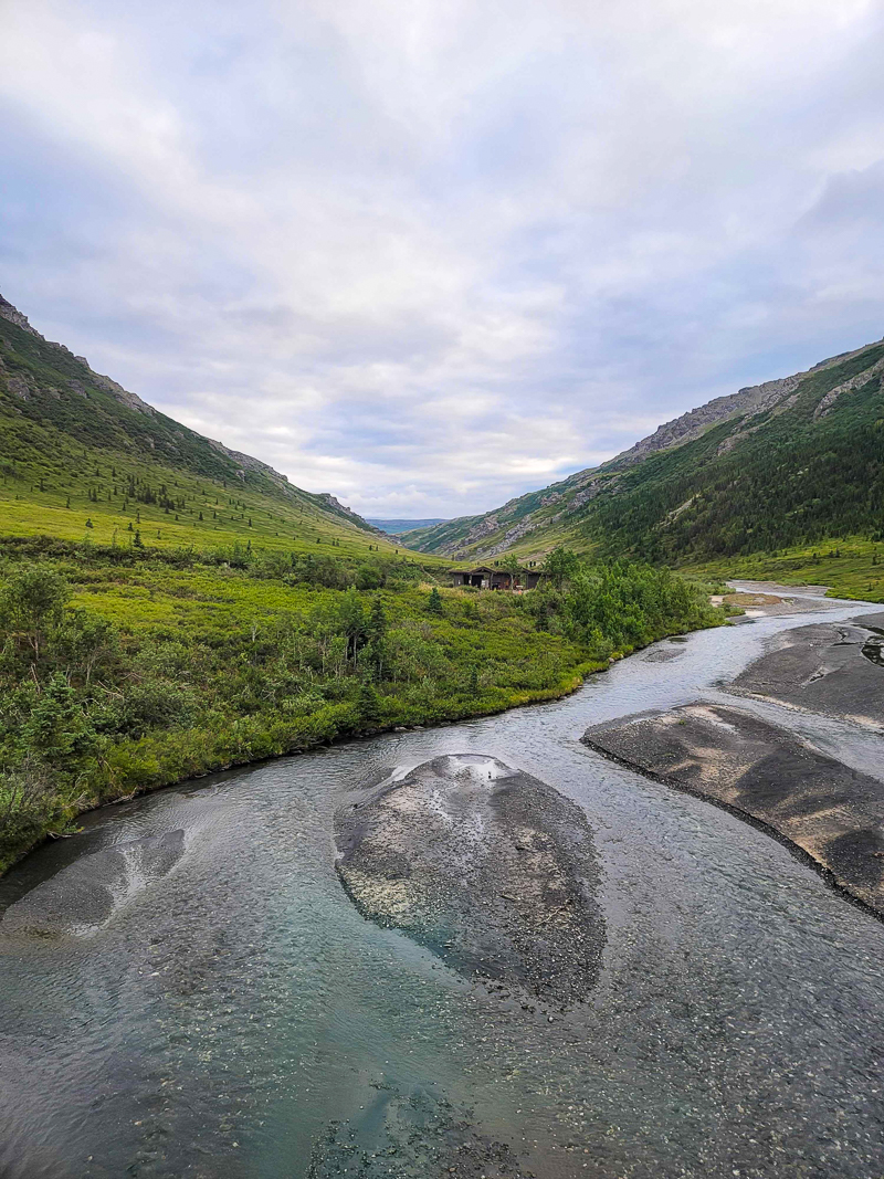 Denali Park Road