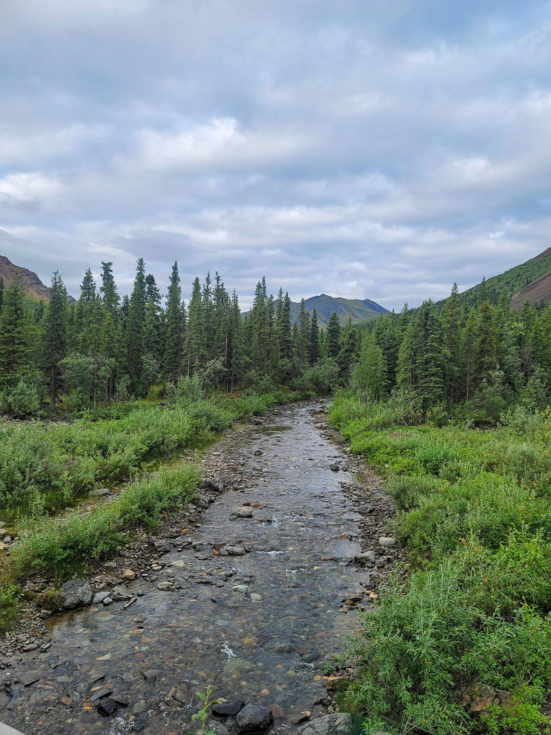 Denali Park Road