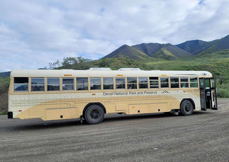 Denali Park Road