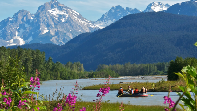 Haines Cruise Port Guide
