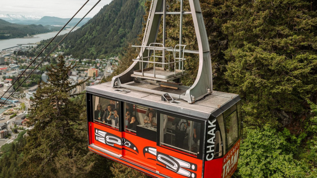 Mount Robert's Tramway