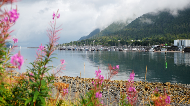 Sitka Excursion Guide