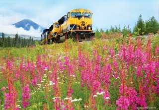 Photo of Train from Anchorage to Seward via Alaska Railroad's Coastal Classic Train