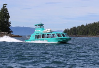 ketchikan bear excursions