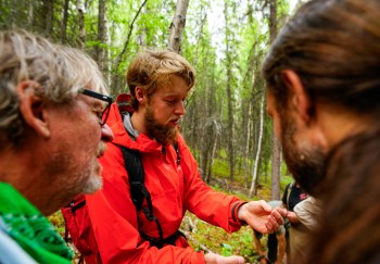 Best Denali National Park Excursions & Tours | Alaska Shore Excursions