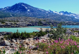 Photo of Skagway White Pass Summit and Beyond Tour