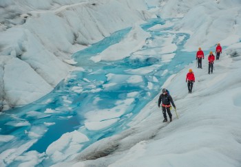Best Juneau Excursions & Tours | Alaska Shore Excursions