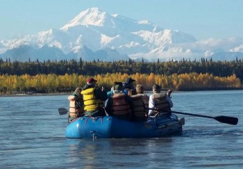 Best Denali National Park Excursions & Tours | Alaska Shore Excursions