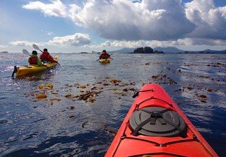 Photo of full day wild coast paddle and cruise tour