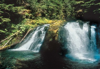 Gold Panning at Gold Creek from Juneau, Alaska 