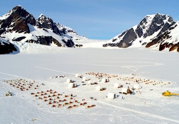 Photo of large dog sled camp on the herbert glacier in juneau