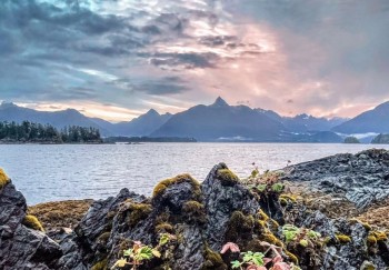 best cruise excursions sitka