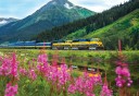 Photo of 23_Alaska_Railroad