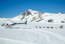 Photo of Anchorage Helicopter Glacier Dogsled Tour Helicopter and sleddog