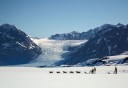 Photo of Anchorage Helicopter Glacier Dogsled Tour