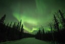 Photo of Denali_Aurora_Quest_Northernlights_Road