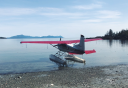 Photo of Fly out fishing