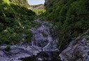 Photo of Forest Hike Avalanche Chute