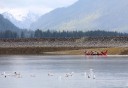 Photo of Icy Strait Tlingit Canoe and Culture Tour Landscape