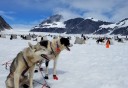 Photo of Juneau Extended Norris Glacier Dog Sledding Adventure Alaskan Huskies