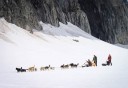 Photo of Juneau Extended Norris Glacier Dog Sledding Adventure mushing