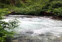 Photo of Ketchikan river scenery