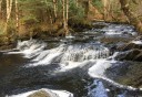 Photo of Lunch Creek Falls