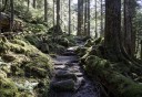 Photo of Natures finest