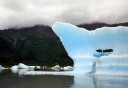 Photo of Raft_floating_near_iceberg_with_views