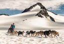 Photo of Seward Helicopter Glacier Dog Sledding Godwin Glacier