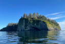 Photo of Sitka Sound Off