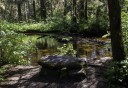 Photo of Stone Bench