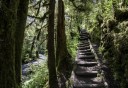 Photo of Trail Stairs