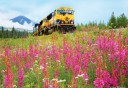 Photo of Train Flowers Alaska Railroad