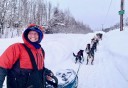 Photo of Winter Dog Sledding