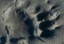 Photo of bear paw print