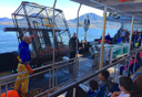 Photo of crab fishing ketchikan 2