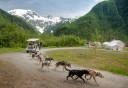 Photo of dog sled ride through the rainforest