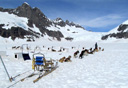 Photo of dogsledding on glacier