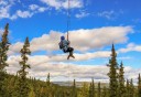 Photo of flying through the trees in denali
