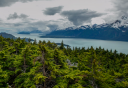 Photo of haines mount riley hike scenic view