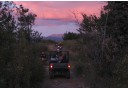Photo of midnight_trail_Denali_ATV