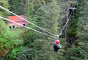 Photo of rainforest canopy zipline tour