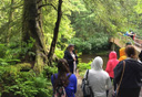 Photo of sitka rainforest walk