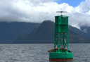 Photo of sitka sound buoy with sea lion